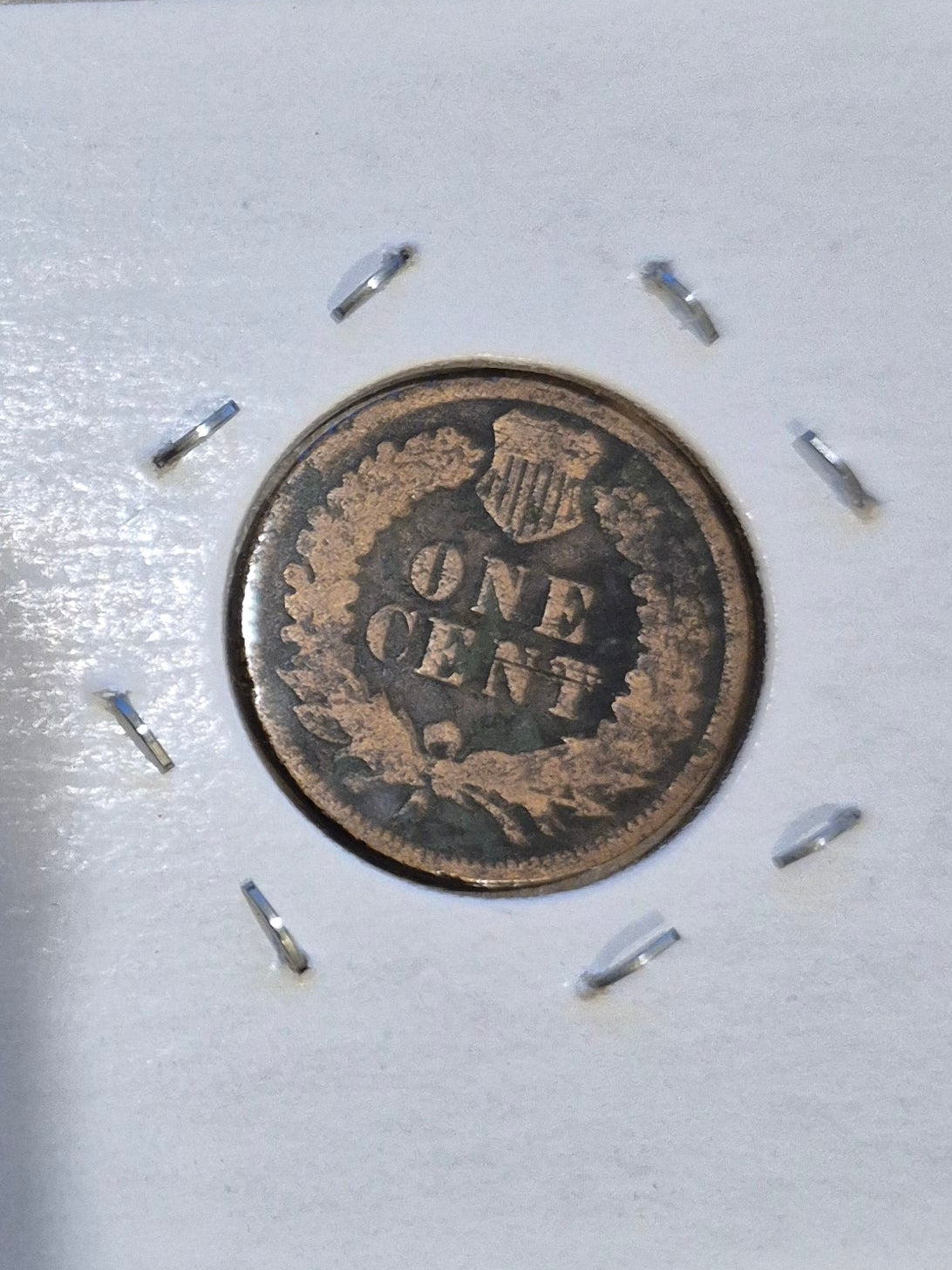 Indian Head Cents